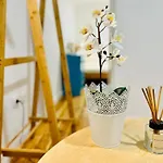Amalia Tiny Studio 1